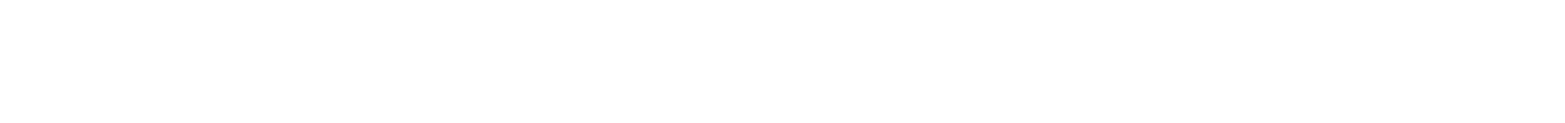 Nano Energy Logo in weiß